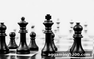 国际象棋的智慧博弈：nba投注平台如何映射千年策略