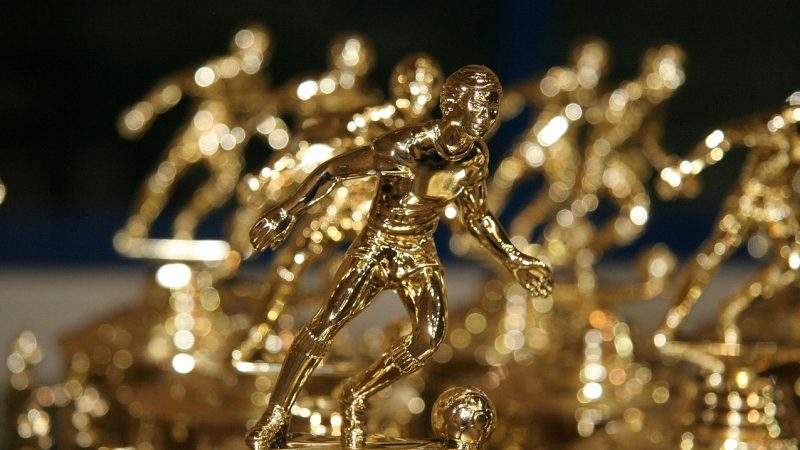 深度解析飞禽走兽不计盈亏红利：nba投注平台玩家必读指南