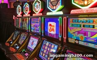 鱼虾蟹深度玩法指南：nba投注平台玩家必备的规则、概率与资金策略